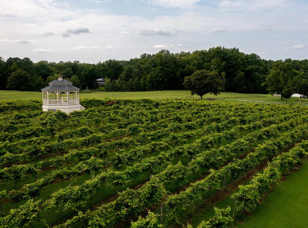 aerial of Gauthier Vineyard