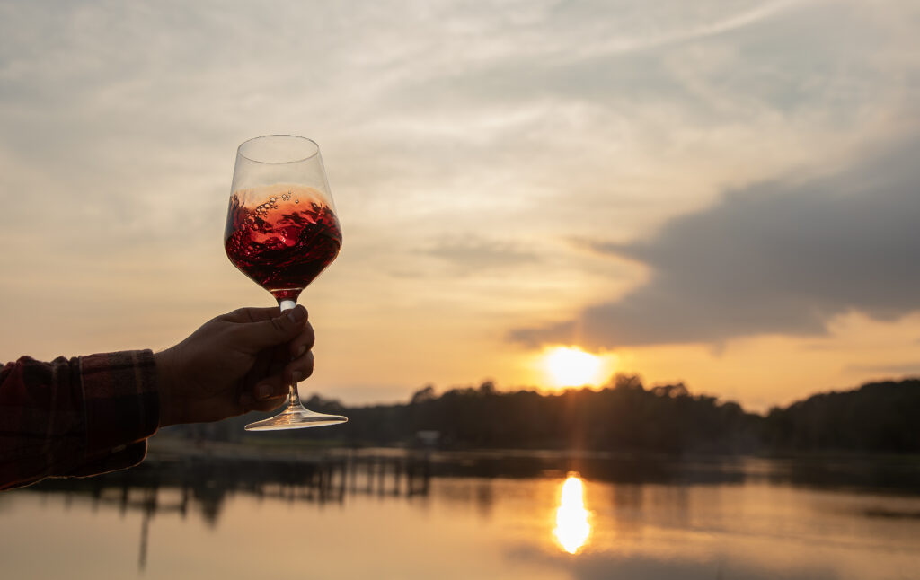 Hand raising glass of wine in front of a sunset view over the water