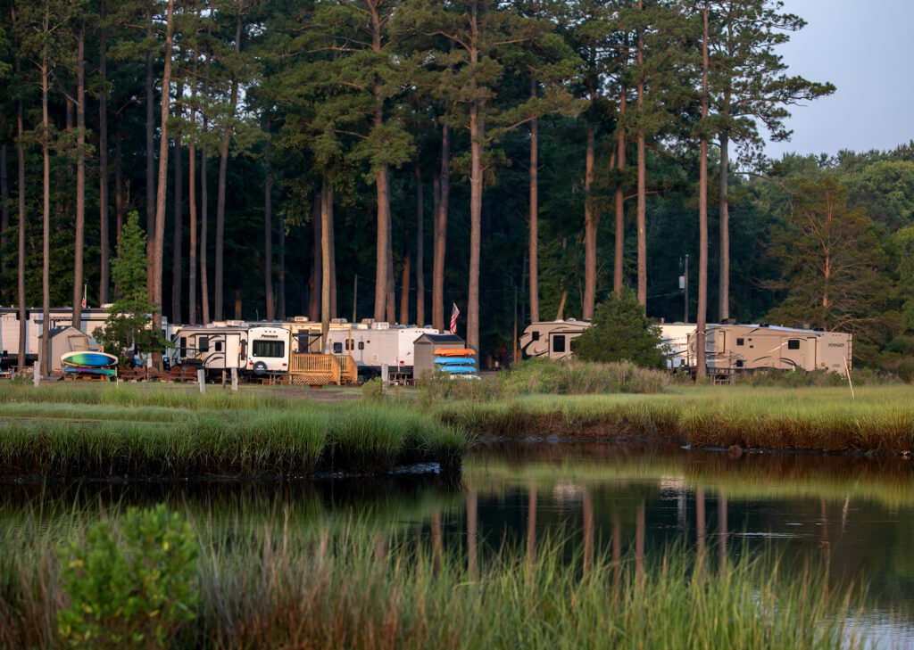 RVs parked under tall pines along the shoreline